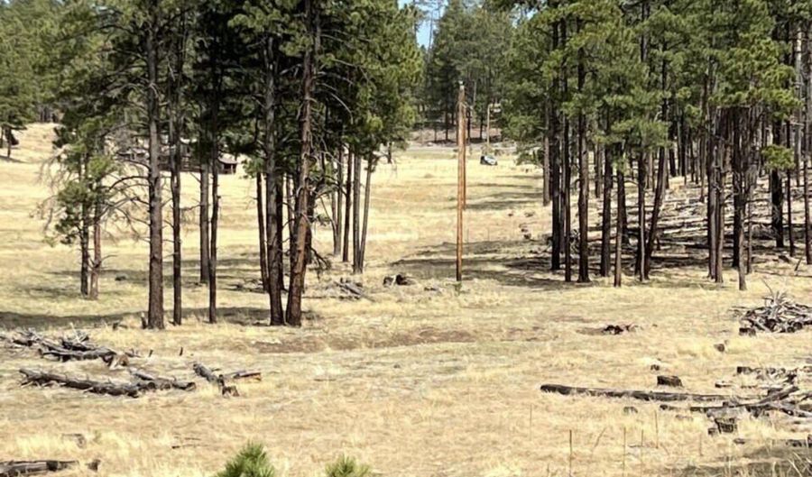 Forest Road 26 lot E, Alpine, AZ 85920 - 0 Beds, 0 Bath