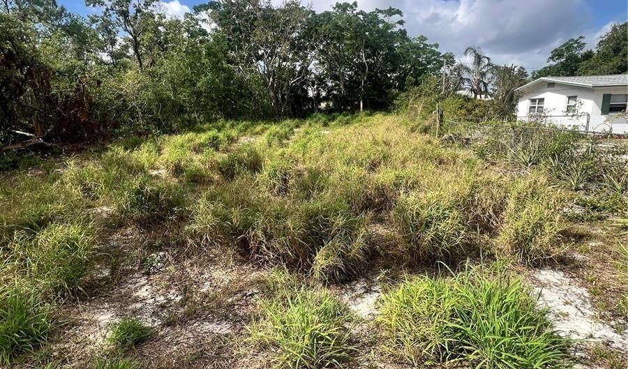 CARSON AVENUE, Babson Park, FL 33827 - 0 Beds, 0 Bath