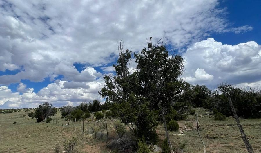 00 TBD, Concho, AZ 85924 - 0 Beds, 0 Bath