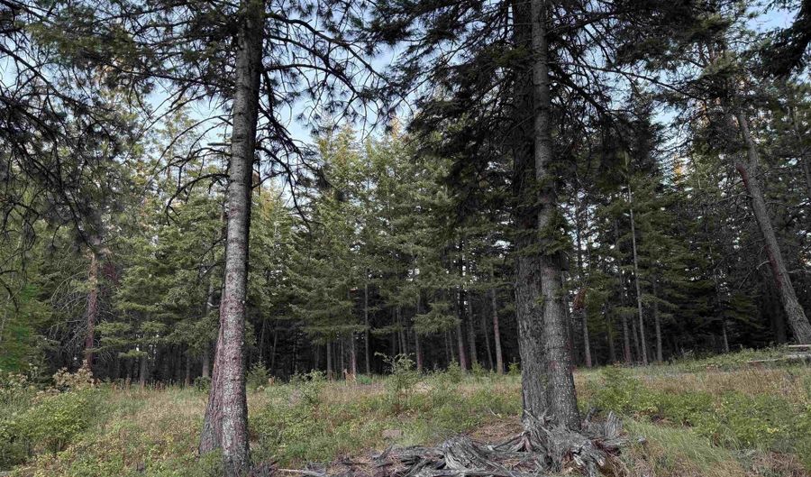 Tbd Harlow Ridge Rd - Cloverland Estates 26, Asotin, WA 99402 - 0 Beds, 0 Bath