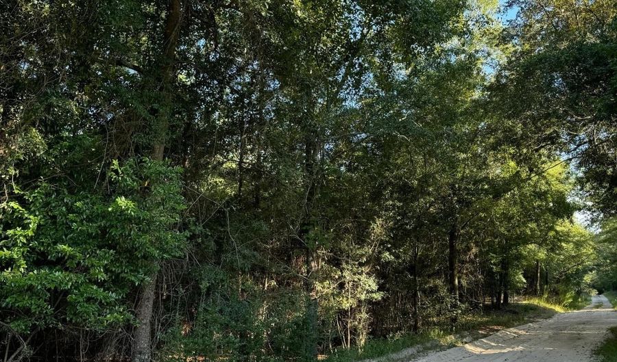 Tbd Old Castle Road, Barnwell, SC 29812 - 0 Beds, 0 Bath