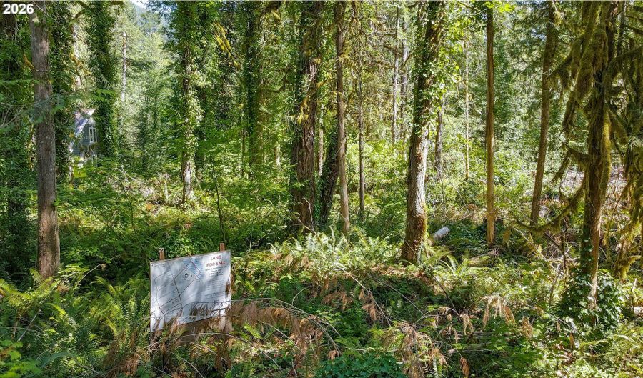 64281 E BRIGHTWOOD LOOP Rd, Brightwood, OR 97011 - 0 Beds, 0 Bath