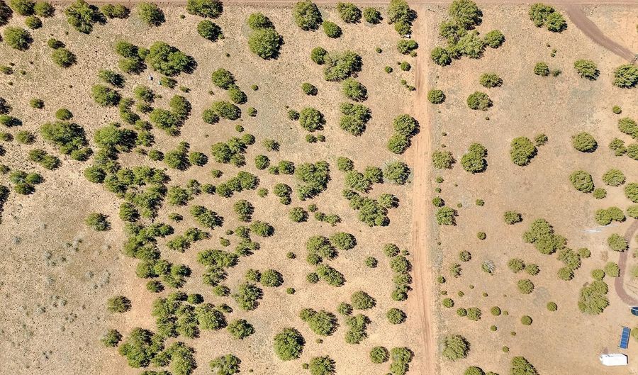 132 Co Rd 8061 1.26 Acres, Concho, AZ 85924 - 0 Beds, 0 Bath