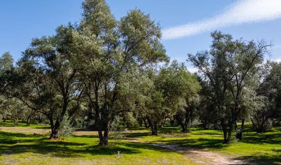 2804 Southgate Rd, Alpine, CA 91901 - 0 Beds, 0 Bath
