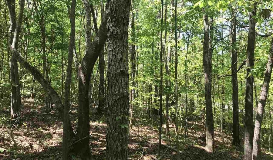 00 SHOAL CREST Dr 1 and 2, Ashville, AL 35953 - 0 Beds, 0 Bath