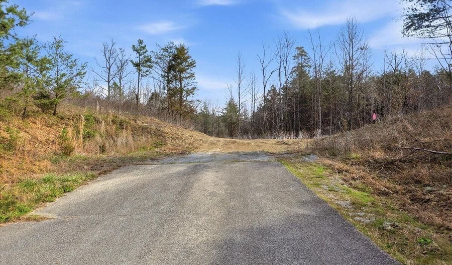 Boat Gum Lane, Bean Station, TN 37708 - 0 Beds, 0 Bath