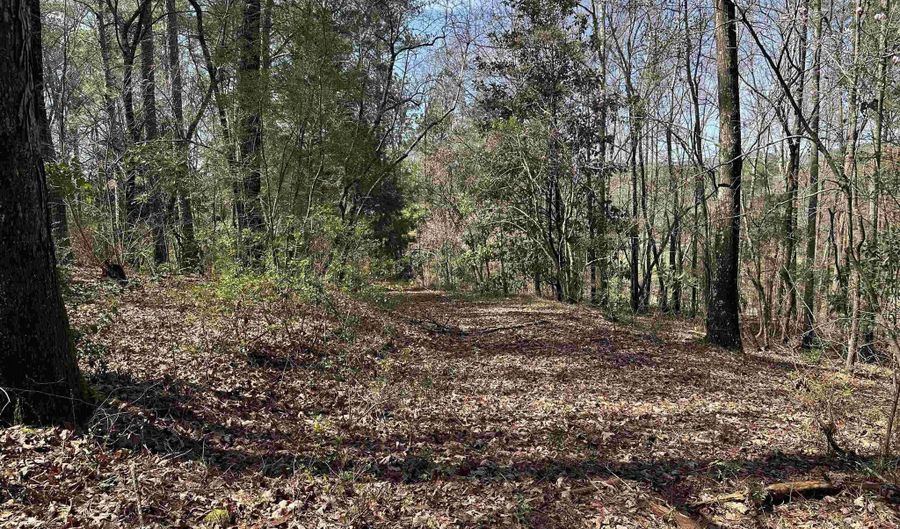 Lot 0 Dearmanville Road, Anniston, AL 36207 - 0 Beds, 0 Bath