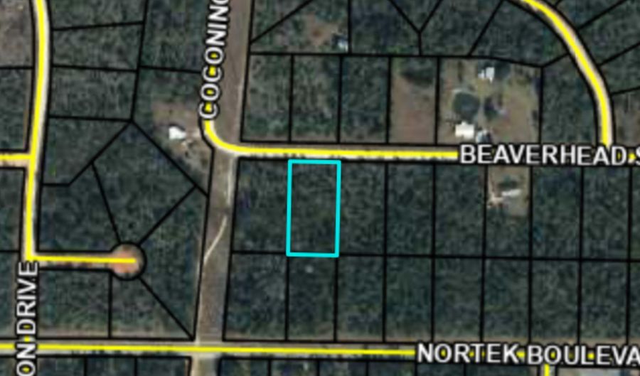 Beaverhead Street, Alford, FL 32420 - 0 Beds, 0 Bath