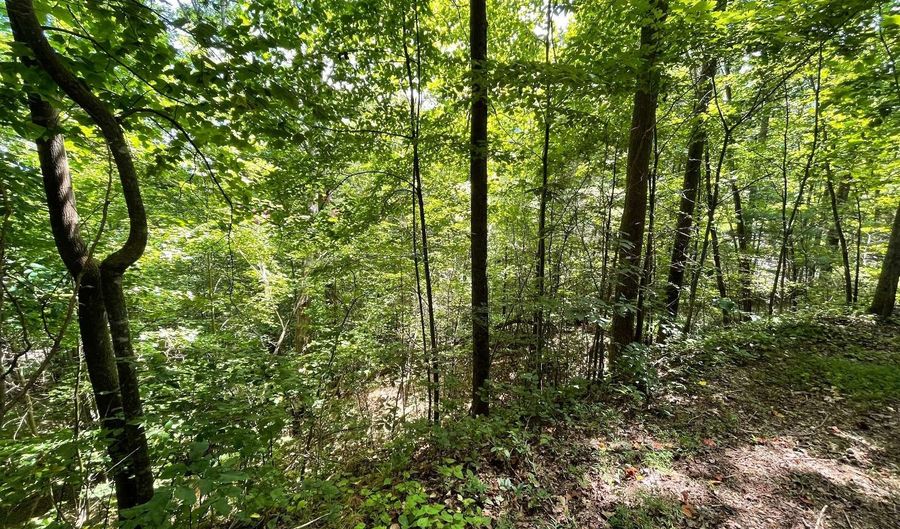 Lt 32 Mining Gap Trail, Young Harris, GA 30582 - 0 Beds, 0 Bath