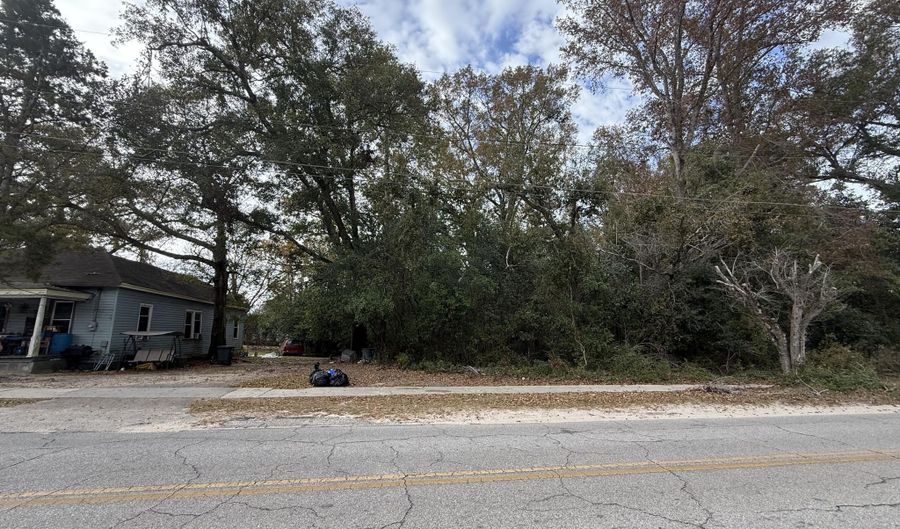 880 Carlisle St, Bamberg, SC 29003 - 0 Beds, 0 Bath