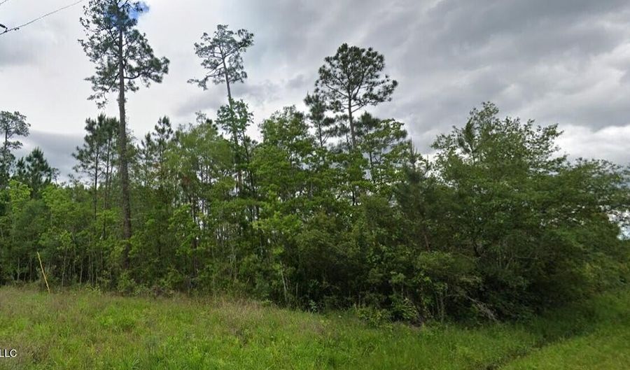 Amazon Street, Bay St. Louis, MS 39520 - 0 Beds, 0 Bath