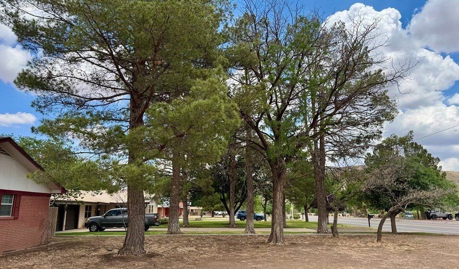 503 E Hendryx, Alpine, TX 79830 - 3 Beds, 2 Bath