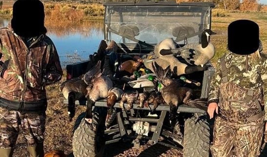 777 County Road 977, Arboles, CO 81147 - 2 Beds, 1 Bath