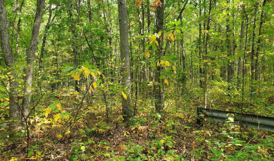 113 Th, Allegan, MI 49010 - 0 Beds, 0 Bath