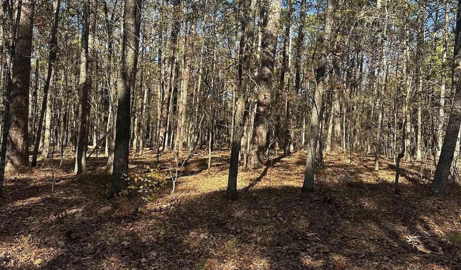 4 Holgar Ln, Hot Springs Village, AR 71909 - 0 Beds, 0 Bath