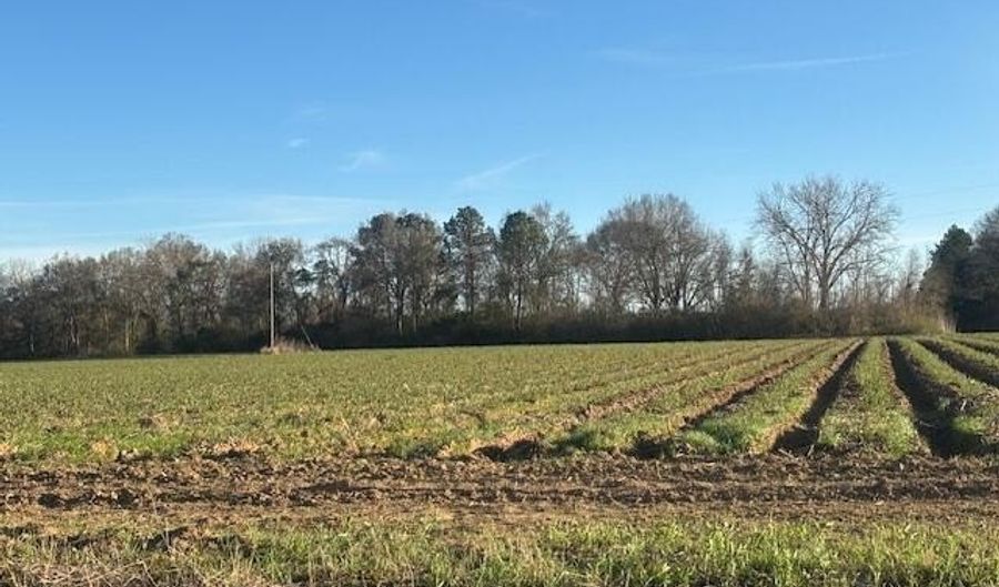 S Hospital Drive, Abbeville, LA 70510 - 0 Beds, 0 Bath