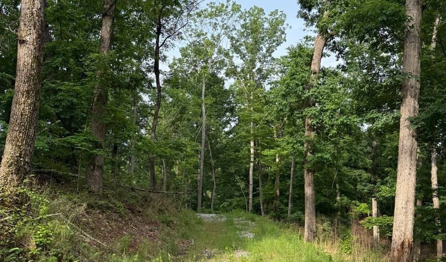 Lot 5 Purvis Road, Baldwin, GA 30511 - 0 Beds, 0 Bath