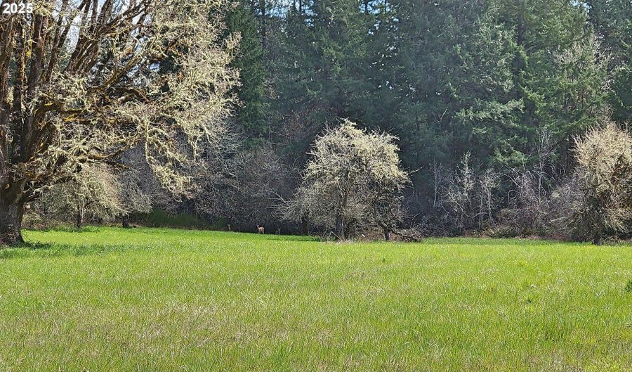 E HUNTER RD 400E, Veneta, OR 97487 - 0 Beds, 0 Bath