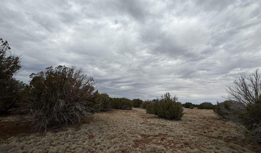 149 County Rd 8057, Concho, AZ 85924 - 0 Beds, 0 Bath