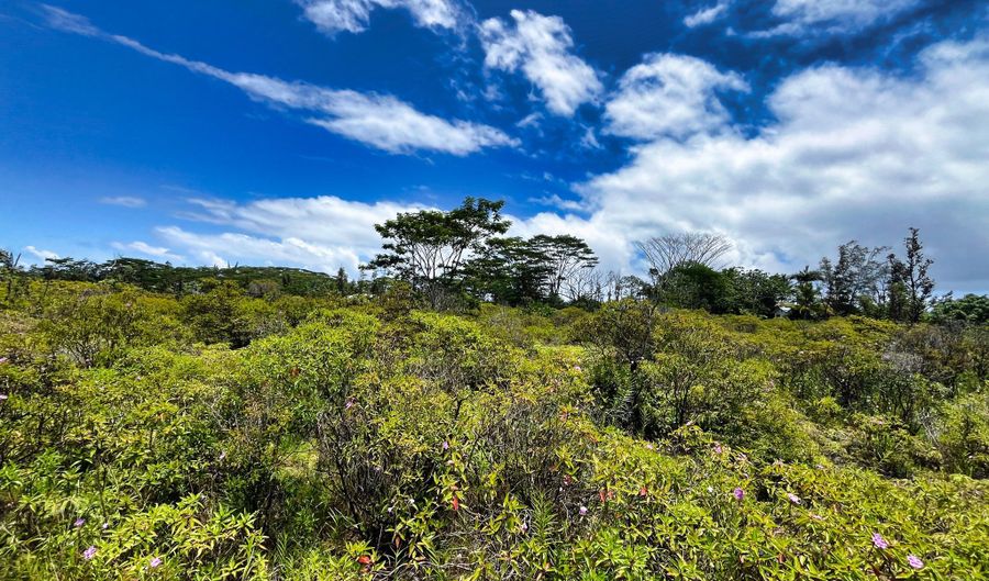 9 TH AVE KALAUNU, Keaau, HI 96749 - 0 Beds, 0 Bath