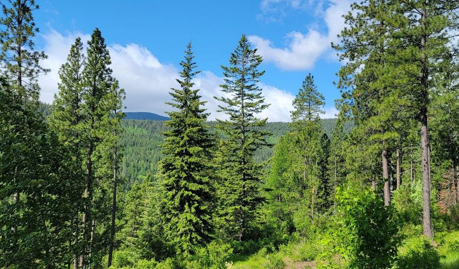 NNA Snowcat Lane, Bonners Ferry, ID 83805 - 0 Beds, 0 Bath