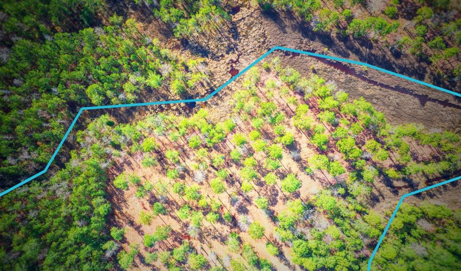 203 Paradox Point Dr Lot 16, Aurora, NC 27806 - 0 Beds, 0 Bath