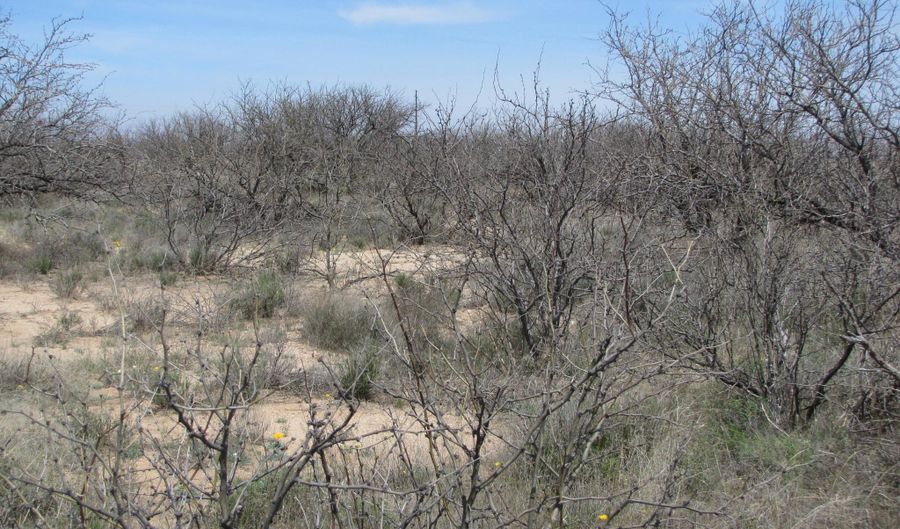 0 93ac Unnamed Rd 10, Cochise, AZ 85606 - 0 Beds, 0 Bath