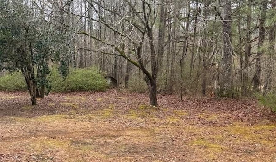 2611 OAKS CHAPEL Rd, Ashland, AL 36251 - 3 Beds, 1 Bath