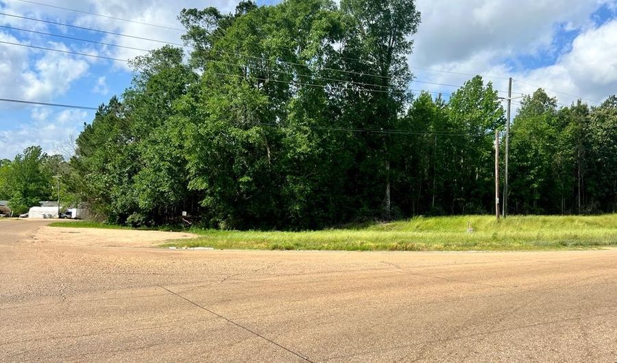 LOT 10 HWY 24, Centreville, MS 39631 - 0 Beds, 0 Bath