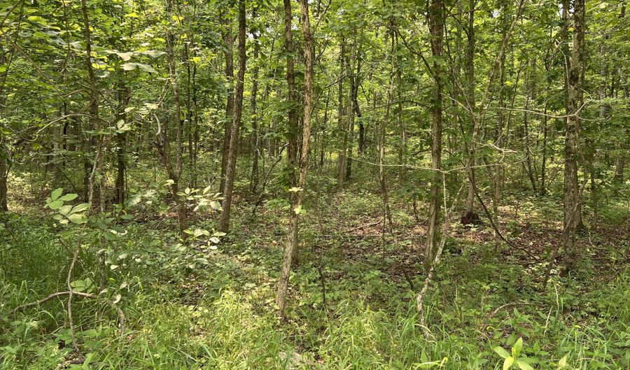 Lots 7 & 8 County Road 206, Alton, MO 65606 - 0 Beds, 0 Bath