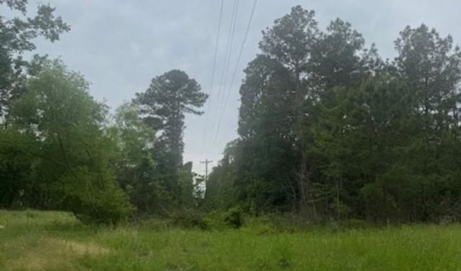 FM 2501, Apple Springs, TX 75965 - 0 Beds, 0 Bath