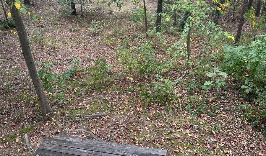 404 SPITZ Lane Unit 88 A & B 88 A & B, Basye, VA 22810 - 4 Beds, 4 Bath