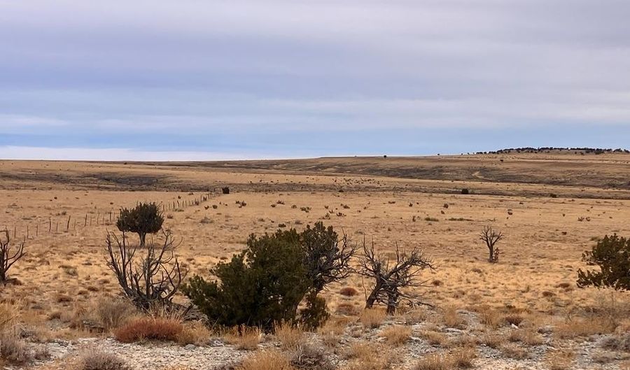 County Road 91.9, Aguilar, CO 81020 - 0 Beds, 0 Bath