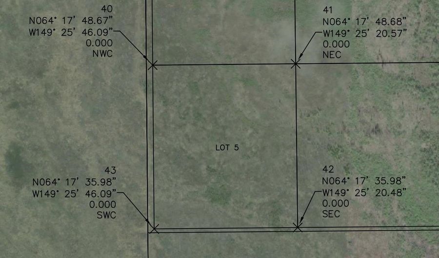 L-5 KOBE AG ROAD lot 5, Anderson, AK 99744 - 0 Beds, 0 Bath