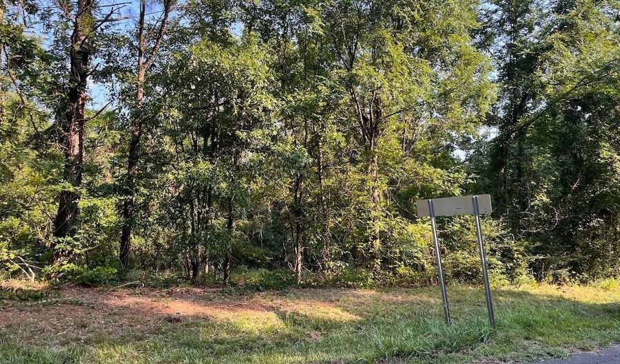 Hwy 221 S, Bradley, SC 29819 - 0 Beds, 0 Bath