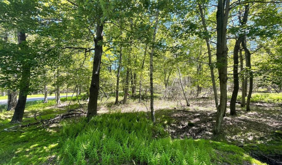 Ev988 Cummings Lane & Stony Mountain Road, Albrightsville, PA 18210 - 0 Beds, 0 Bath