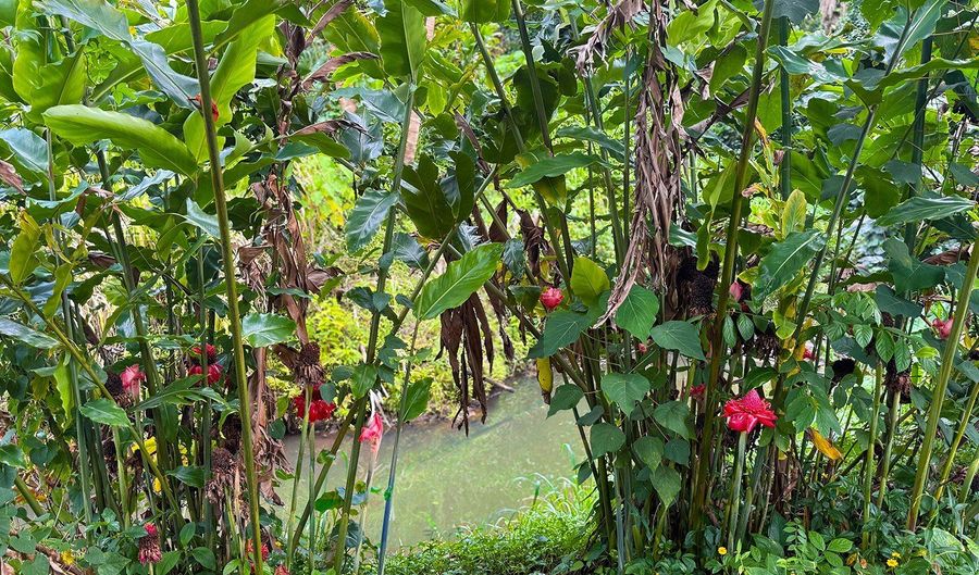 6546- D KUAMOO Rd 5, Kapaa, HI 96746 - 0 Beds, 0 Bath