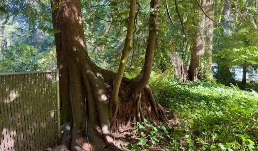 21191 E COUNTRY CLUB Rd, Brightwood, OR 97011 - 3 Beds, 2 Bath