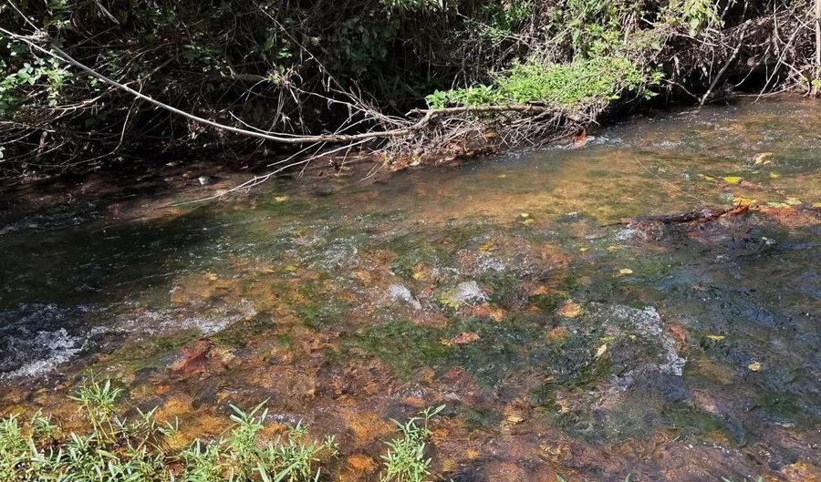 0 Coleman Mountain Rd, Appomattox, VA 24522 - 0 Beds, 0 Bath