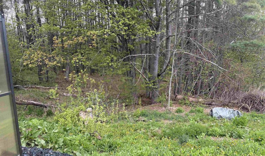 43 C-S Dr, Bethel, VT 05032 - 1 Beds, 2 Bath