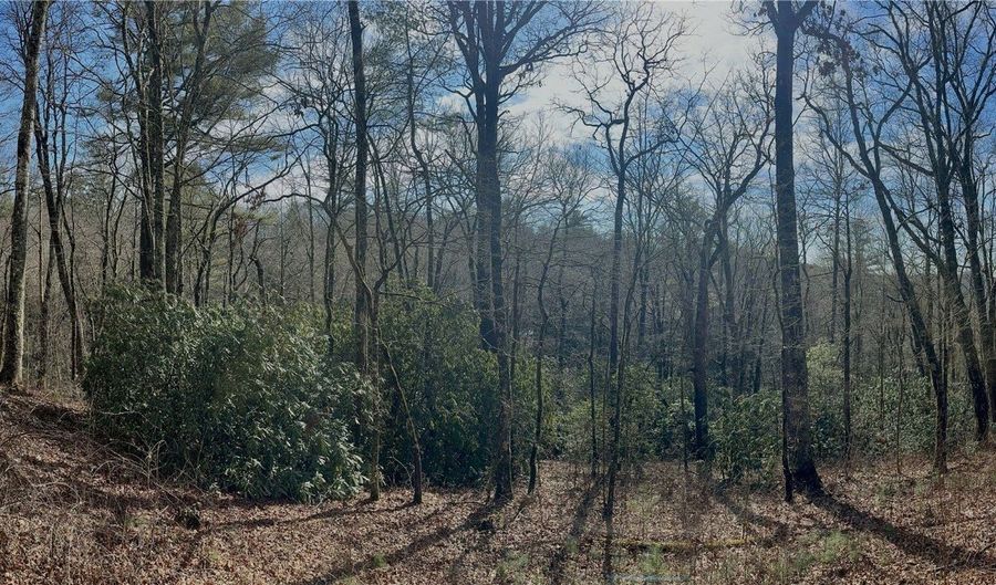 Tbd View Point Road, Highlands, NC 28741 - 0 Beds, 0 Bath