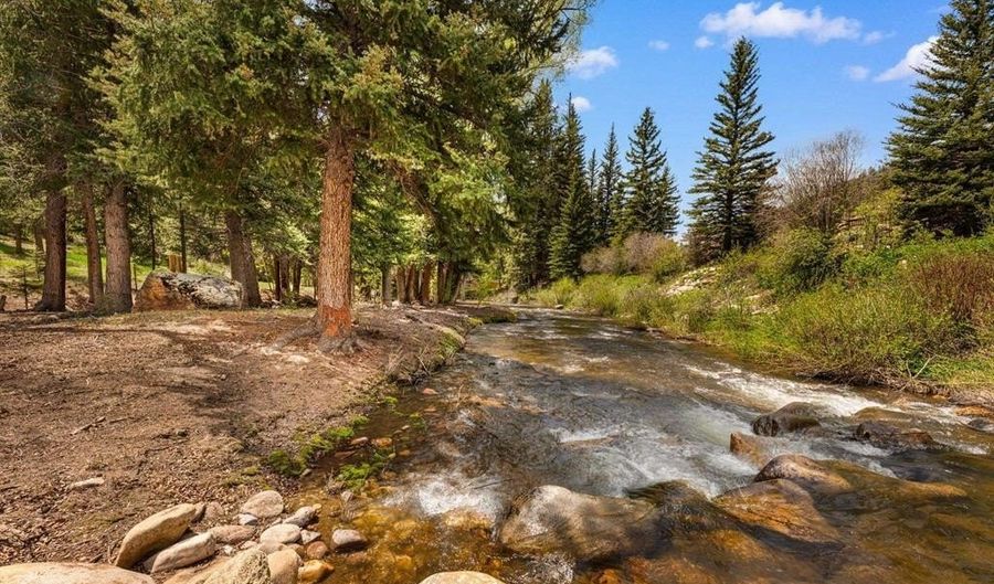 340 County Road 54, Almont, CO 81210 - 4 Beds, 4 Bath