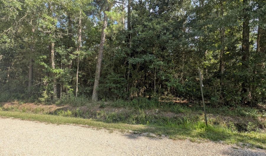 W. Newton Street, Bay St. Louis, MS 39520 - 0 Beds, 0 Bath