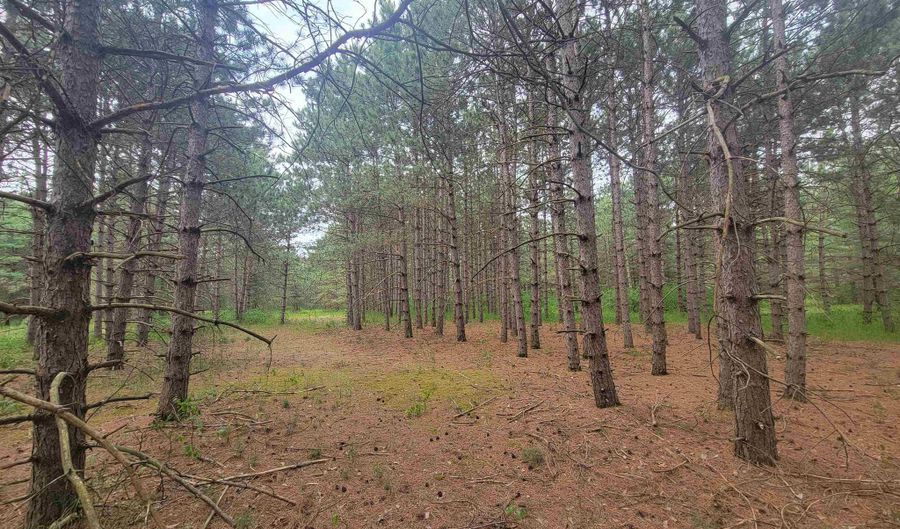 Lot 114 County Road Z, Arkdale, WI 54613 - 0 Beds, 0 Bath