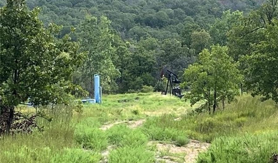 2822 Lott Bottom Rd, McAlester, OK 74501 - 0 Beds, 0 Bath