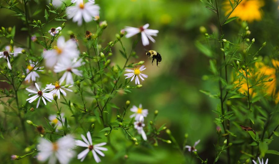 9501 Indian Rd, Alpena, MI 49707 - 2 Beds, 2 Bath