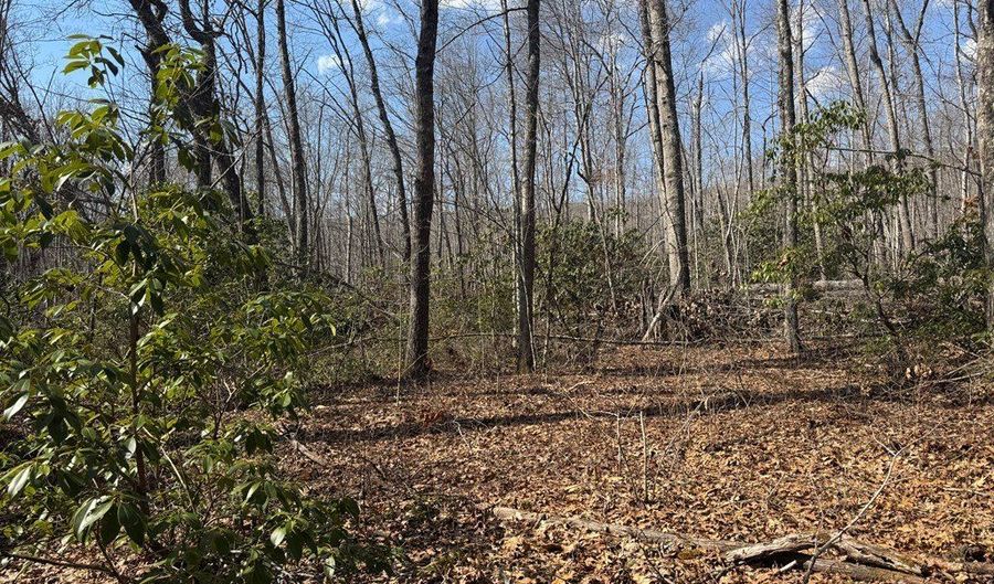 Brookstone Road lot 3, Bastian, VA 24314 - 0 Beds, 0 Bath