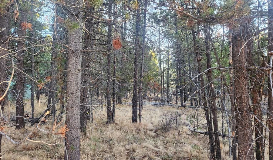 16818 Brenda Dr, Bend, OR 97707 - 0 Beds, 0 Bath