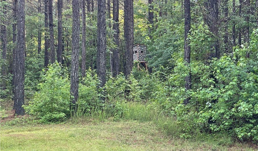 Reed Rock Road, Amelia, VA 23002 - 0 Beds, 0 Bath
