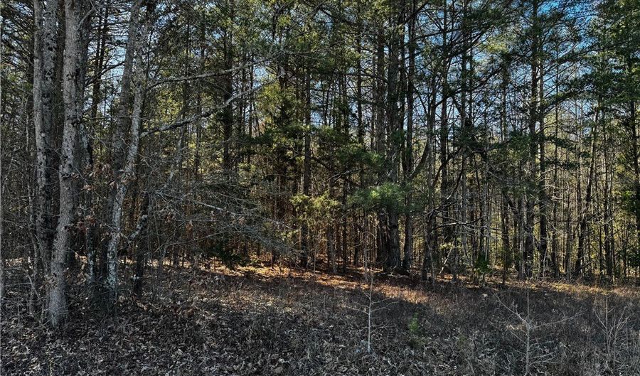 TR 4 Corner Road, Belton, SC 29627 - 0 Beds, 0 Bath